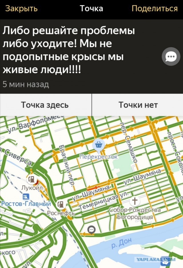 В Ростове жители устроили виртуальный митинг