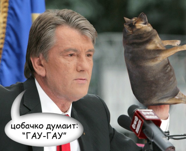 Фотожаба: О чем же думает собака?....