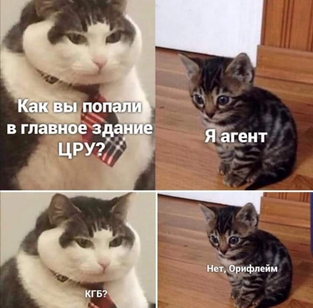 Чуток картинок 25.06.20