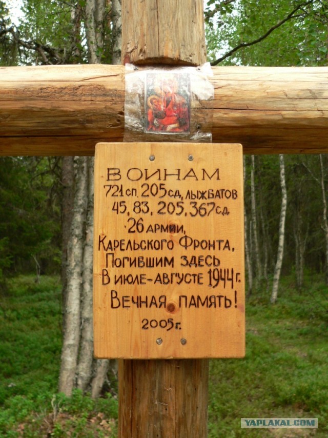 Природа хранит эхо войны