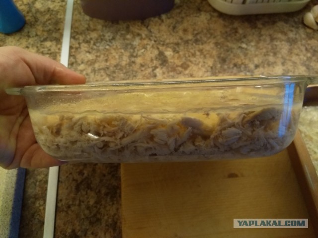 Нищебродам на заметку. Рваные курицы