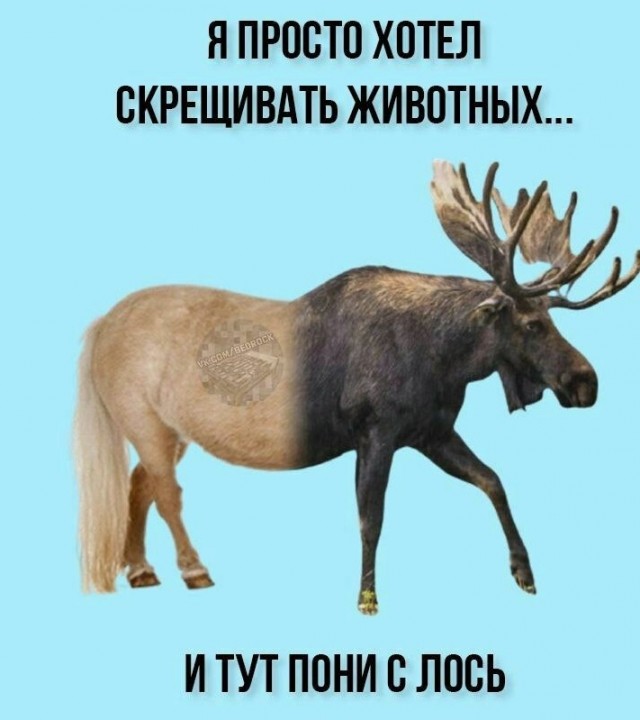 Это просто абсурд какой-то!
