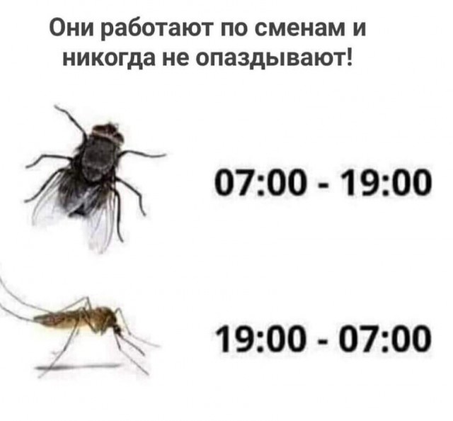 Картинки на вчера