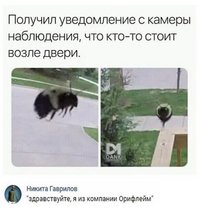 Так себе картинки 29.06.21