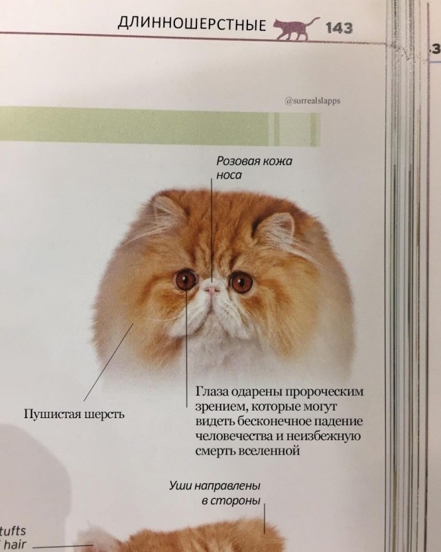 Всякие разные картинки 019