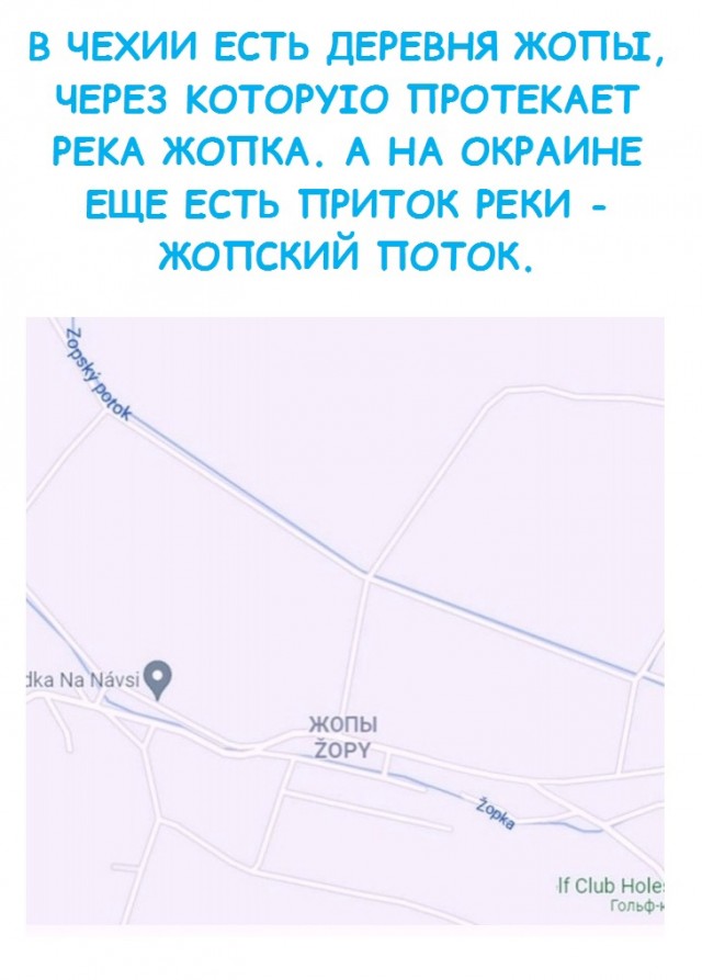 Всяческие картинки 08.11.2021