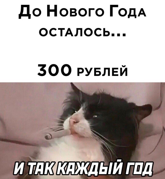 Картинки Про 31 Декабря Прикольные