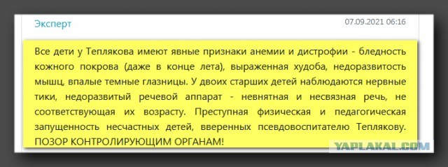 «Гениальные» Тепляковы как символ того, до чего докатилось всё наше некогда великое образование