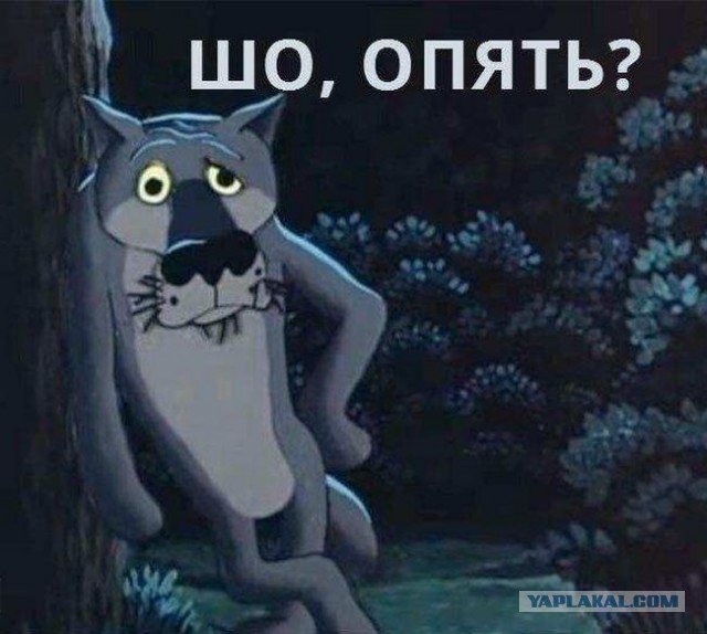 В России резко подскочили цены на ОСАГО