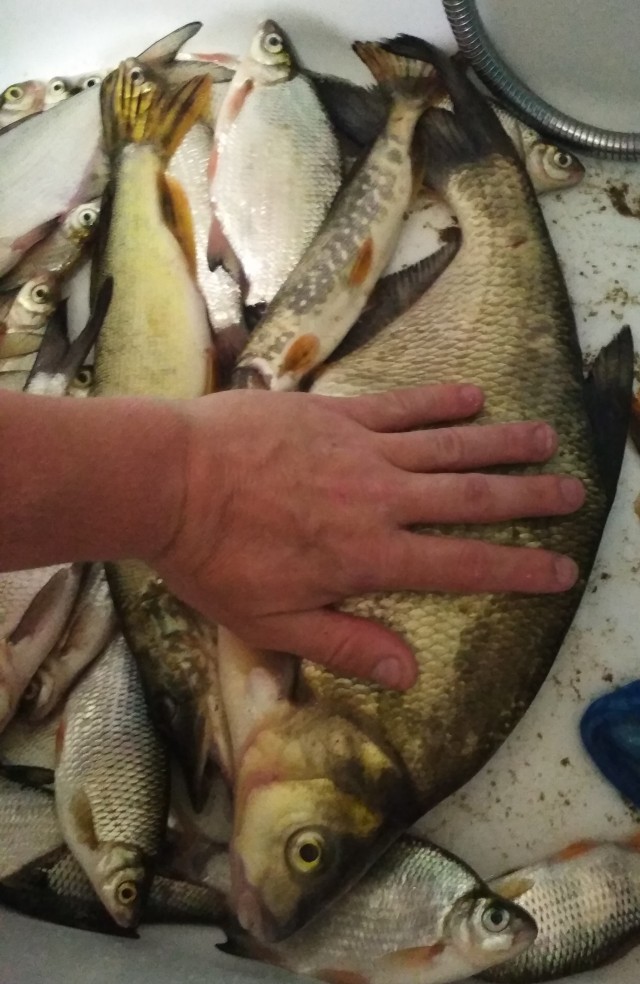 Сегодня с батей пошли на рыбалку...