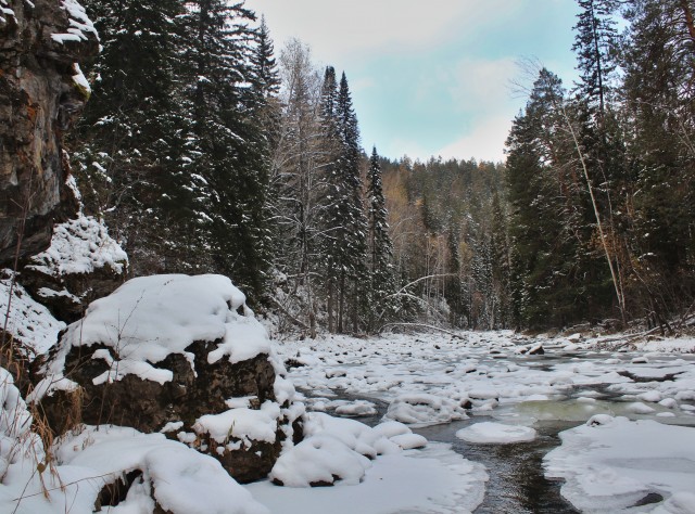 Красноярская тайга
