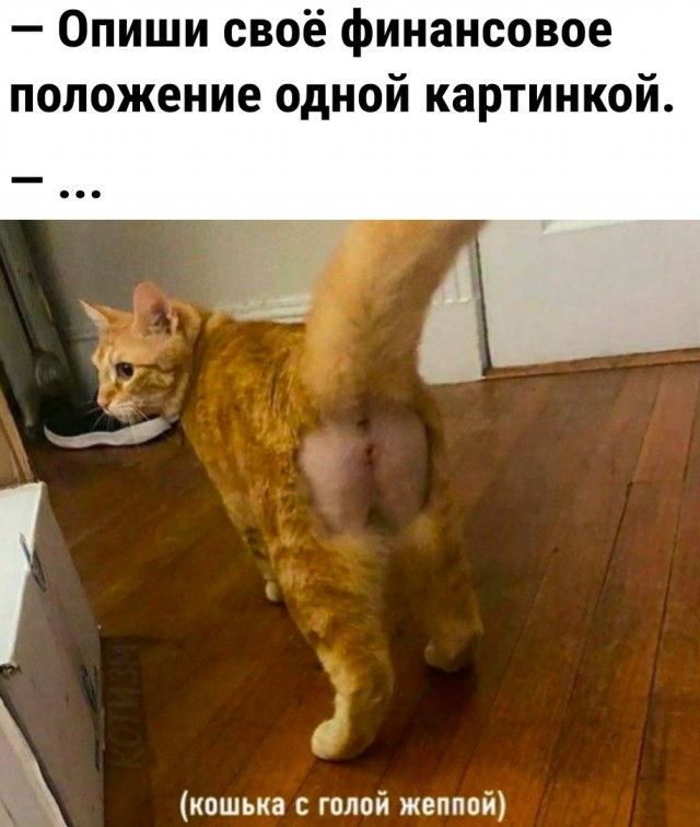 Так себе картинки 14.07.22