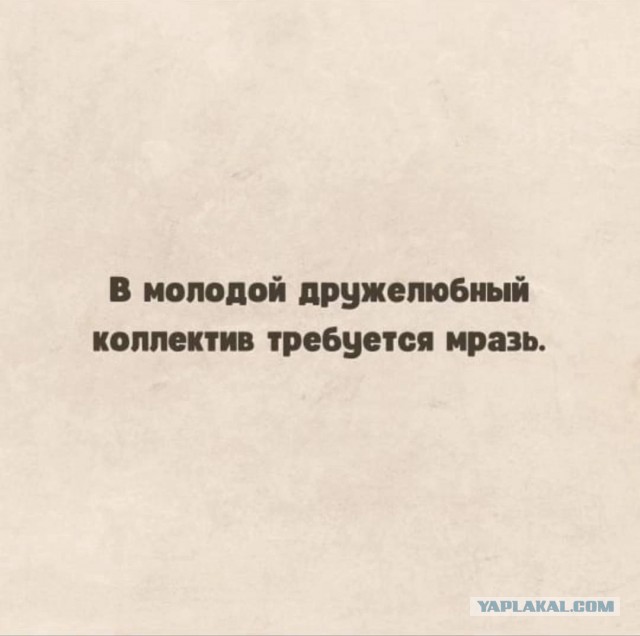 50 оттенков серого или самосвал баянов. Vol.25