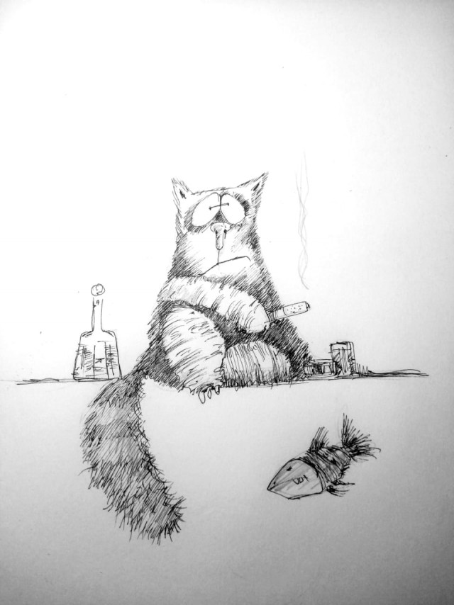 Бабуля едет с дачи... и кот тоже
