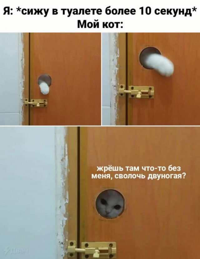 Картинки и мемы. Выходные близко...