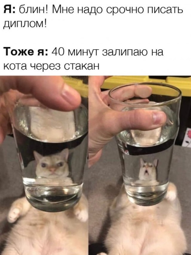 Так себе картинки 22.11.22
