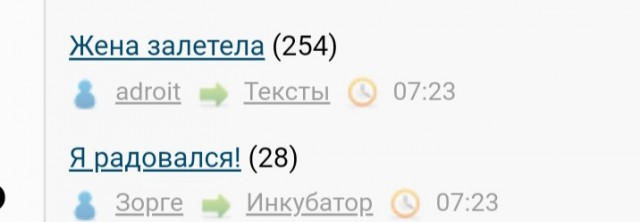 Жена залетела