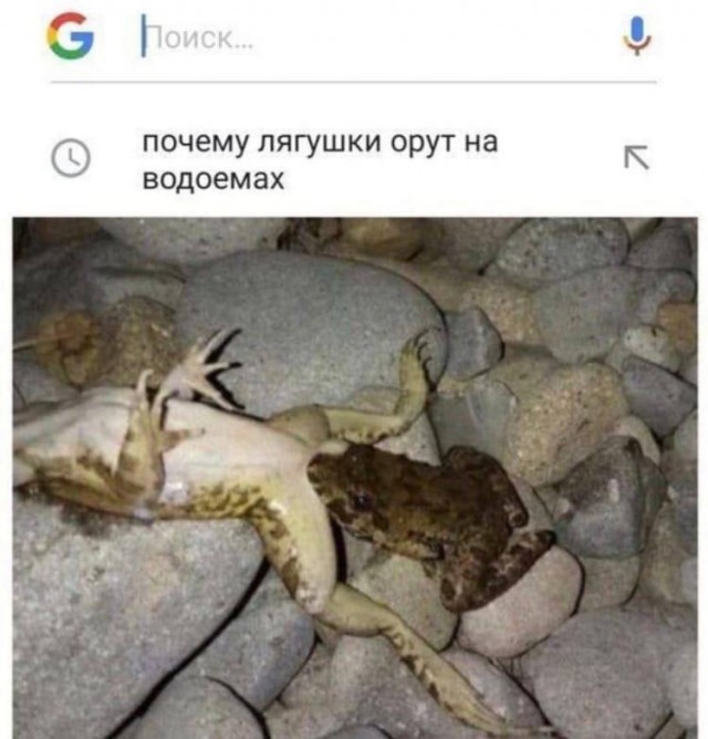 Что тебе нравится в девушках?