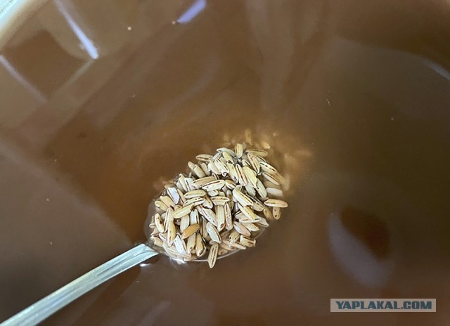 Плов домашний