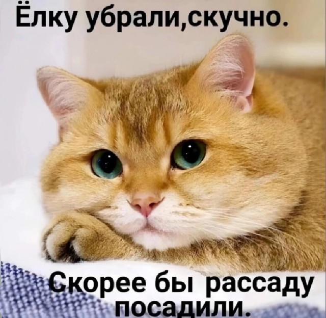 Немного картинок для настроения