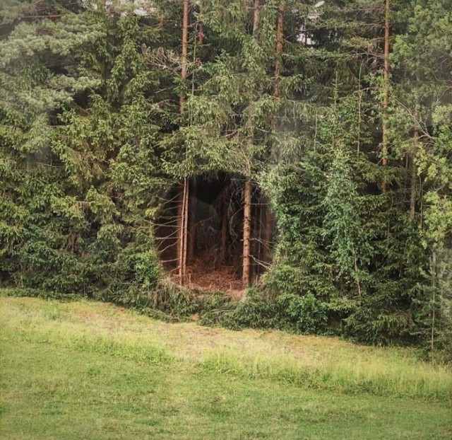 Необычные картинки