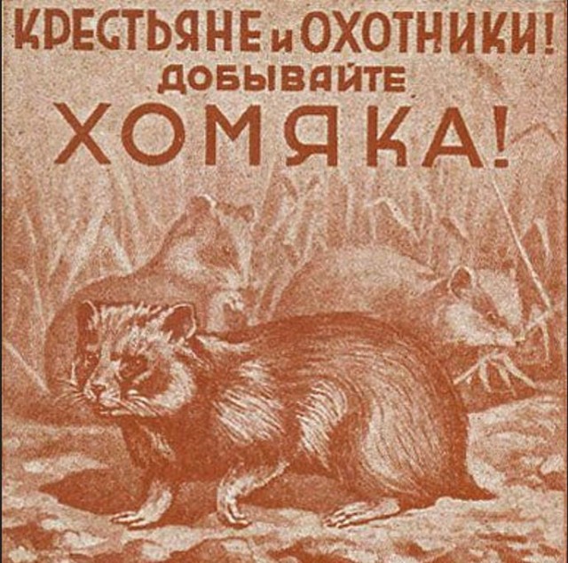 Прикольные и просто красивые картинки 10.03.2023
