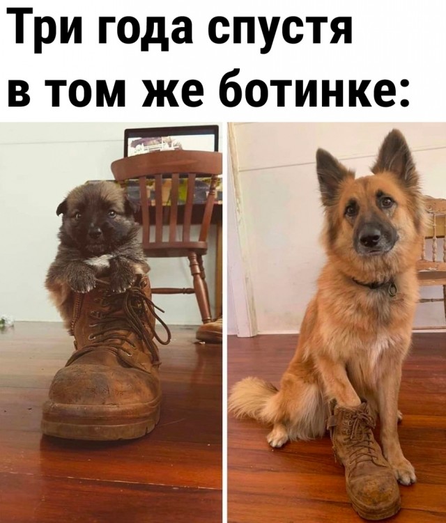 Так себе картинки 14.05.23