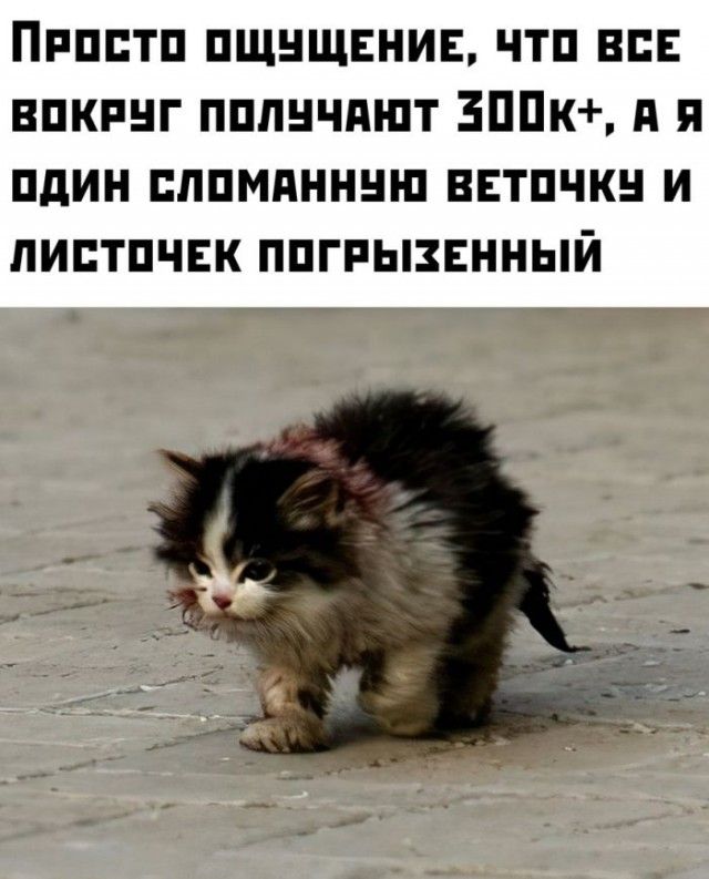 Десятая подборка самых баянистых баянов! Ностальгируем...