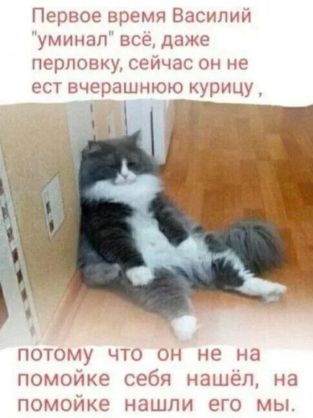 Всего понемногу. От 10.08.