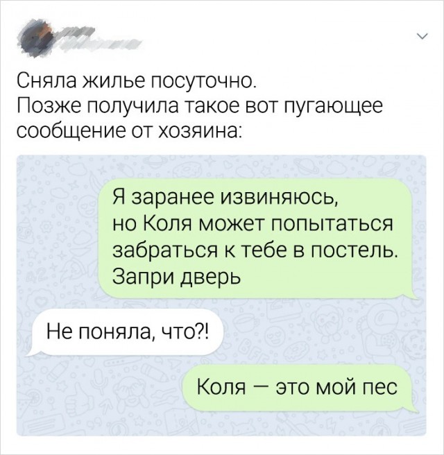 Весёлый полтишок 08.09.23