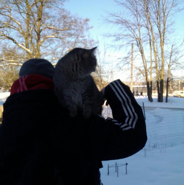 Котовторник 23.04.2013