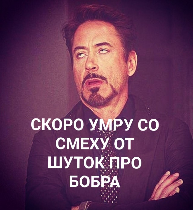 Сурковый кёрлинг