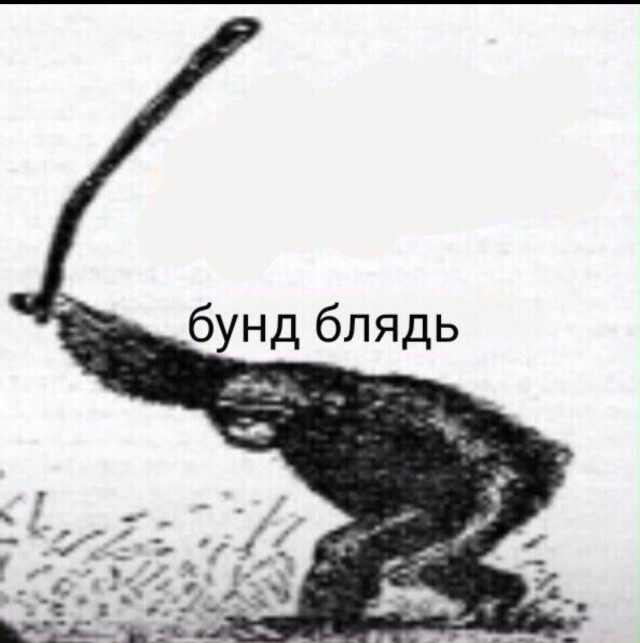 Шимпанзе уже вступили в ранний каменный век