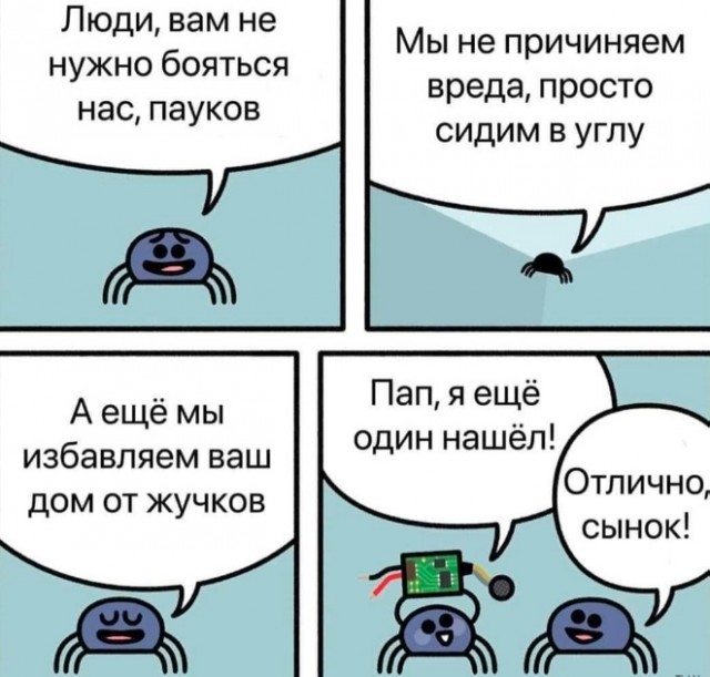 Весёлый полтишок 10.06.24