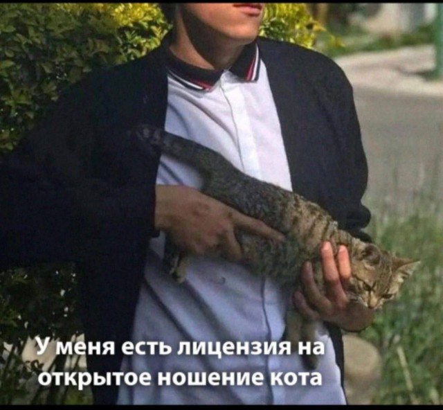 Сборник бабаянов или неожиданная помойка
