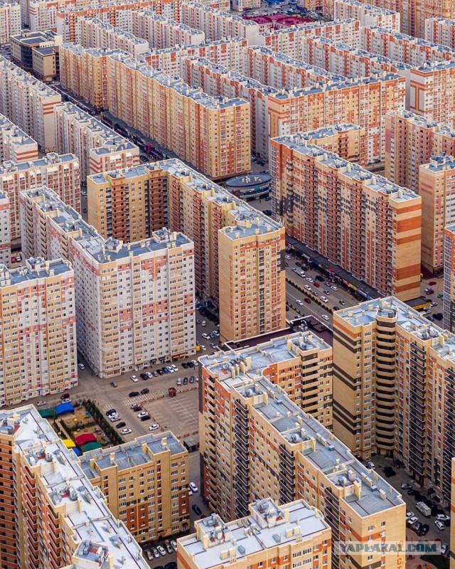 Кто из Ставрополя?