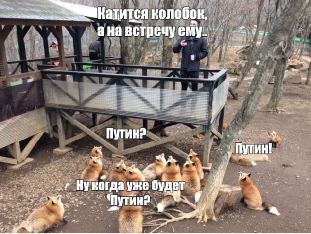 «Я больше так не буду», — виновато заявил комментатор.