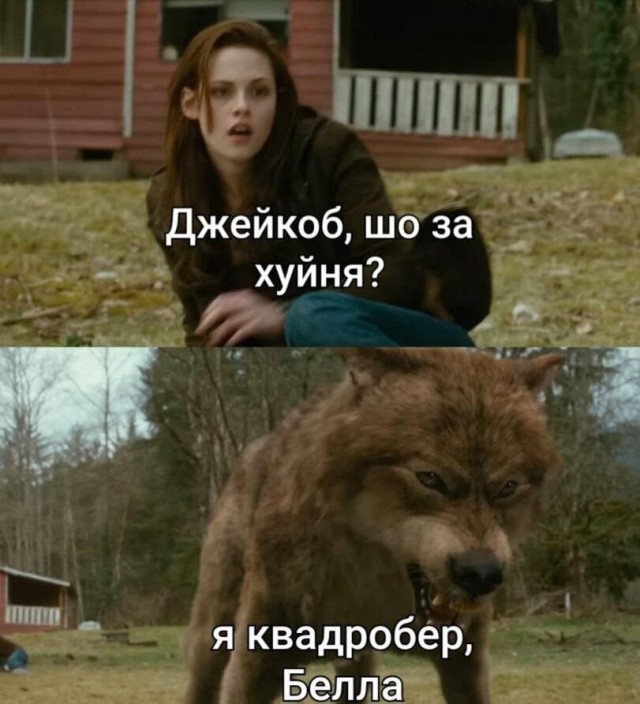 Сколько-то картинок