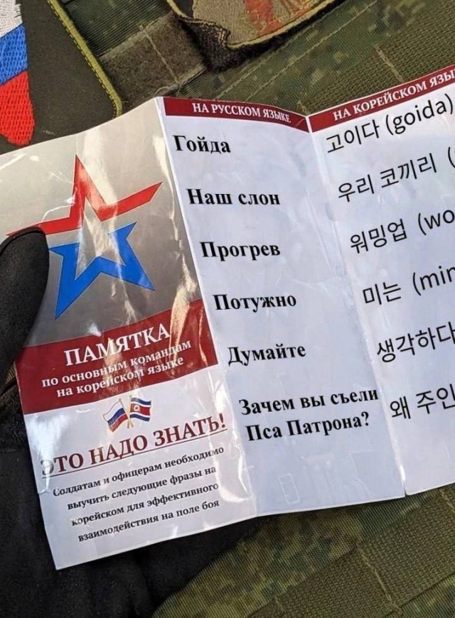 Так себе картинки 31.10.24