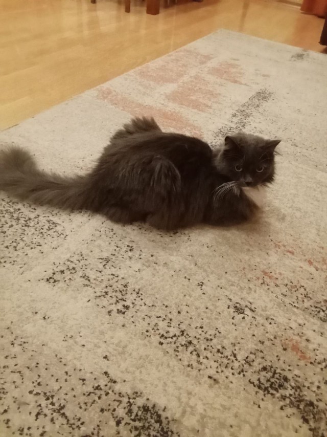 Третий круг