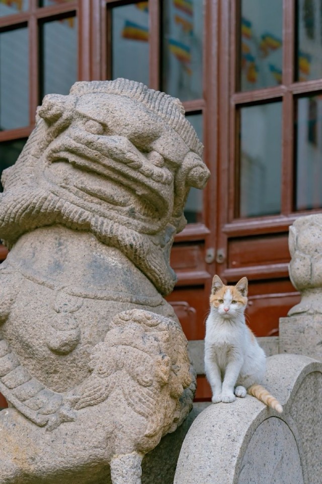 Кошки на развалинах города Помпеи