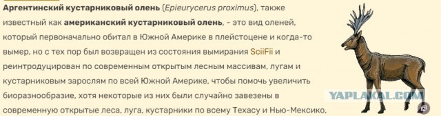 Новый вид "тарелок" у РСП