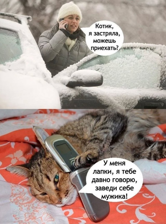 Завалялось тут случайно немного забавных картинок