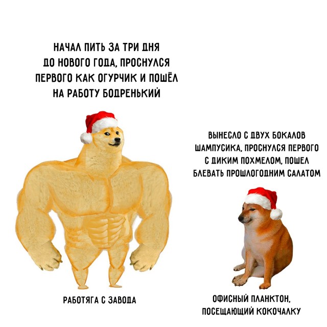 Весёлый полтишок 03.01.25