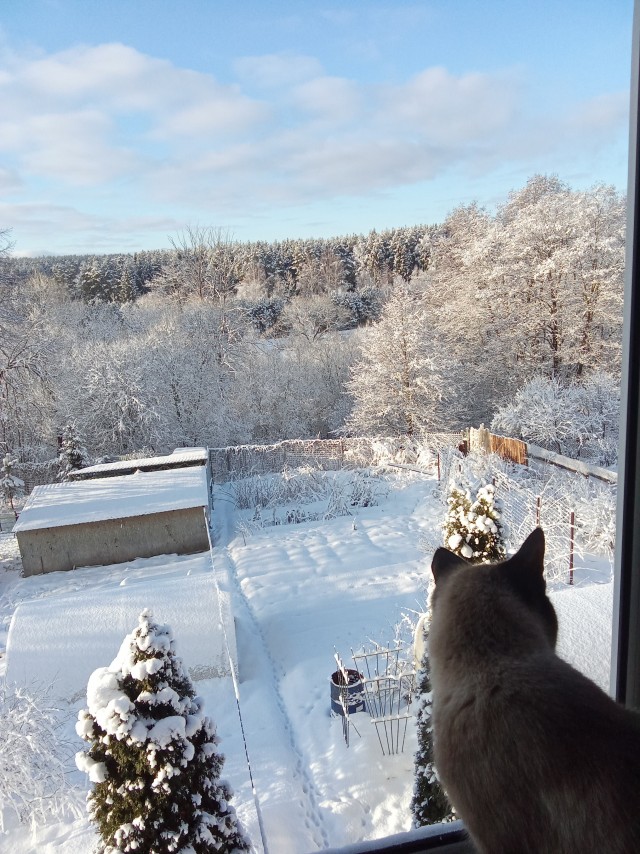 Кушать подано!