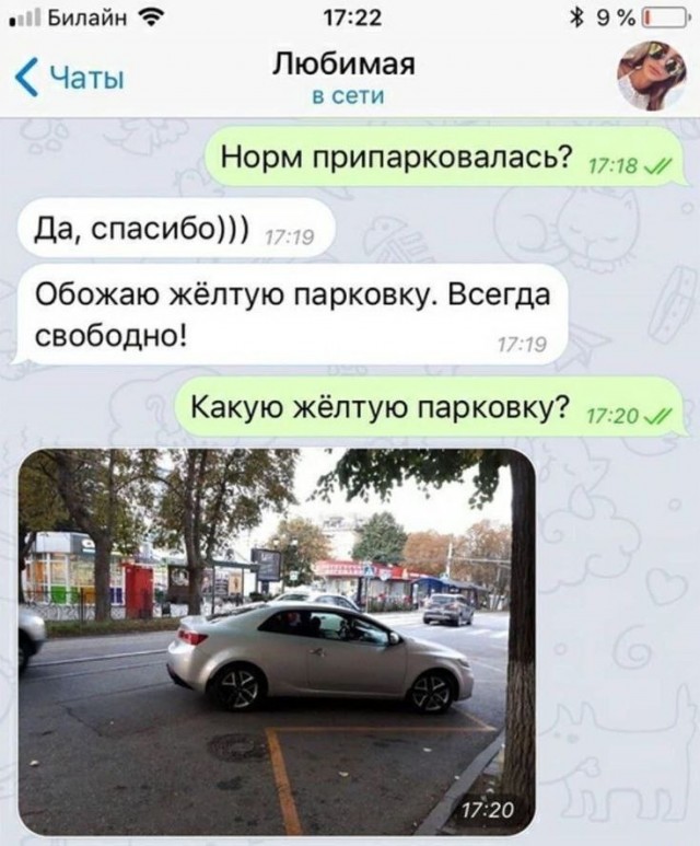 Немного картинок с текстом