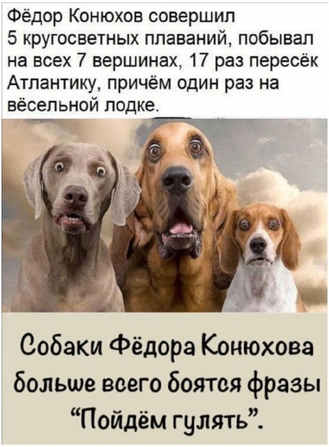 Так себе картинки 22.08.25