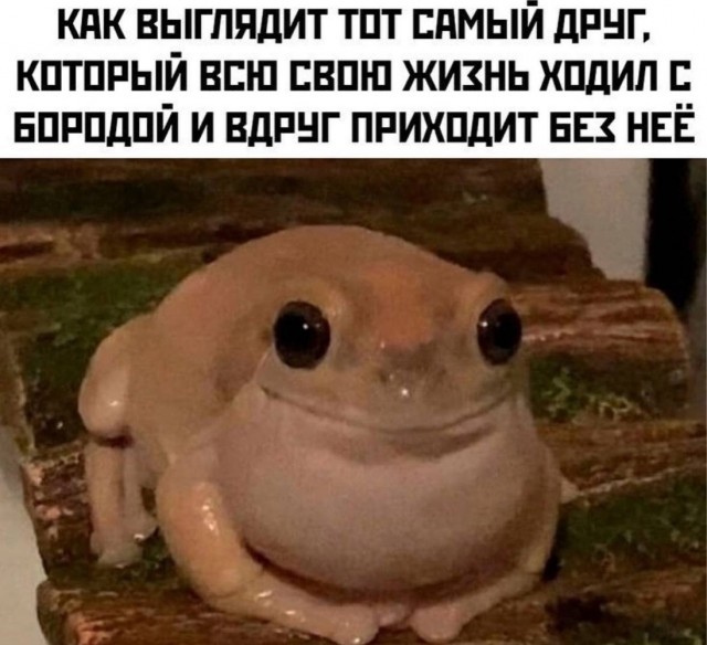 Немного картинок накануне выходных