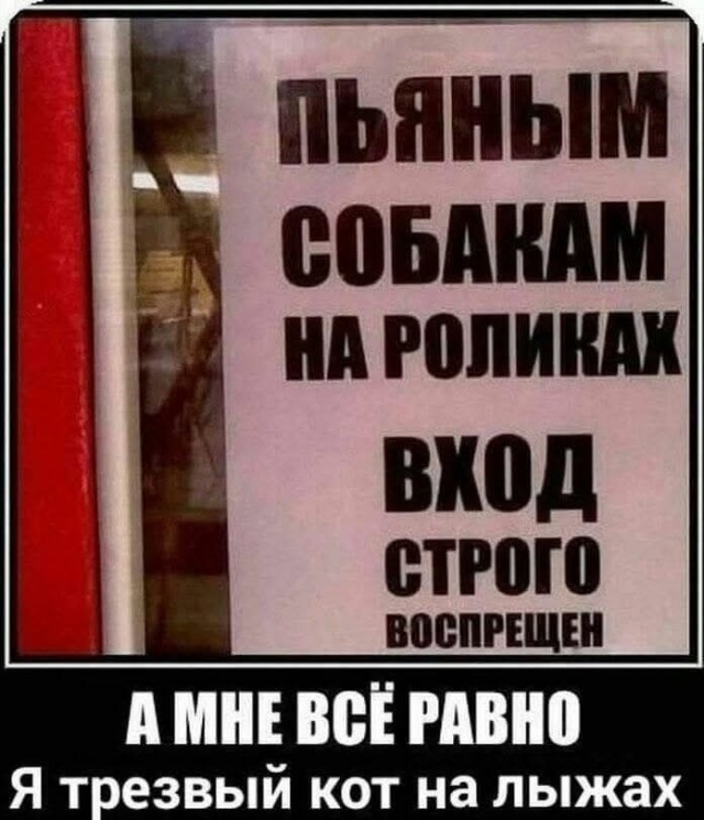 Воскресные картинки