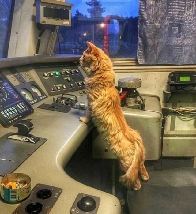 Вот и картинки разные...